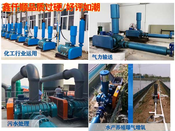 電鍍廠用羅茨羞羞视频在线下载
